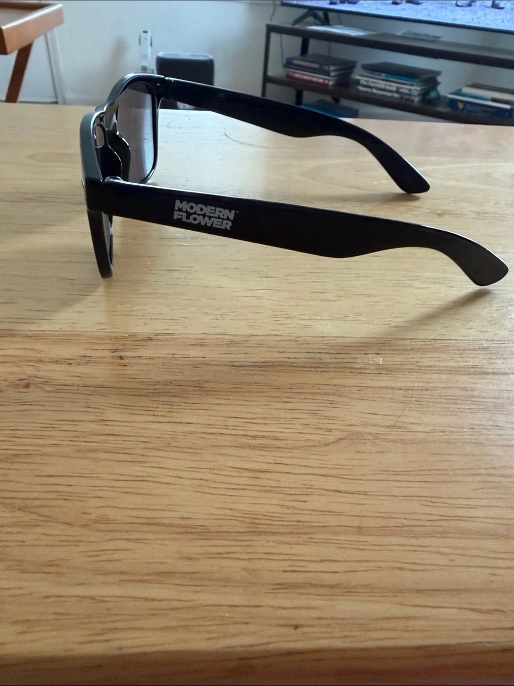 Classic Black Wayfarer Sunglasses